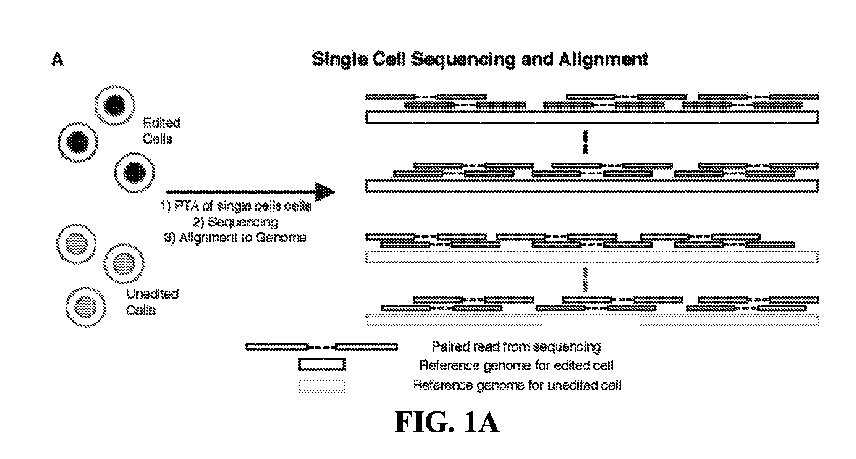 Figure 2022543375000001