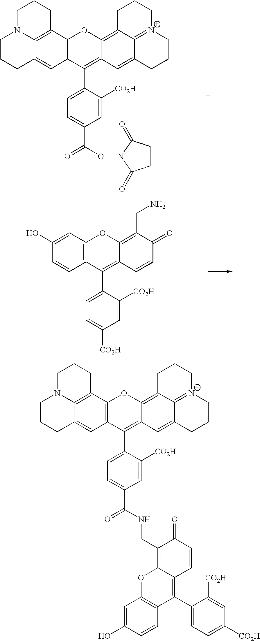Figure US20070154927A1-20070705-C00112