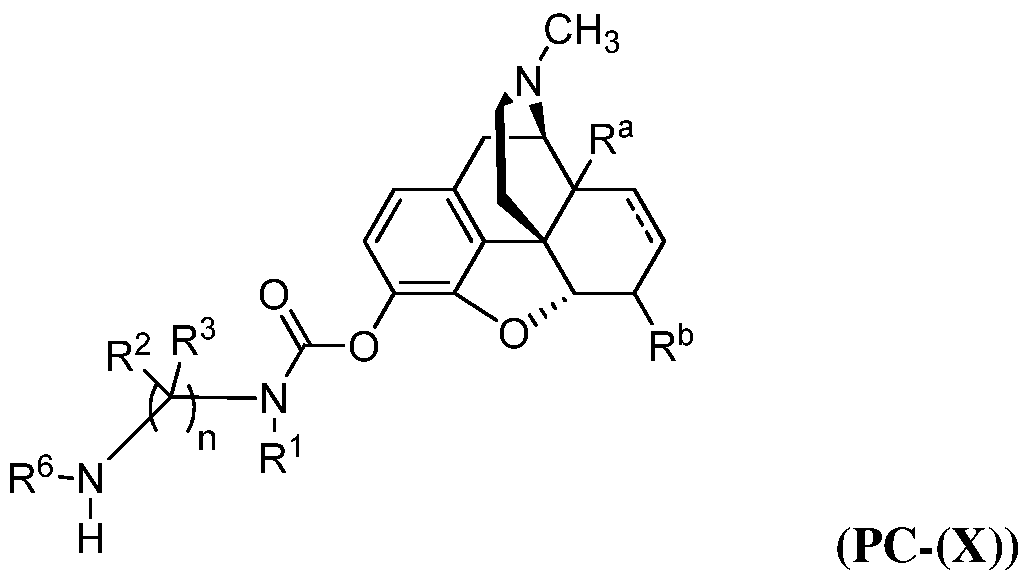 Figure imgf000094_0001