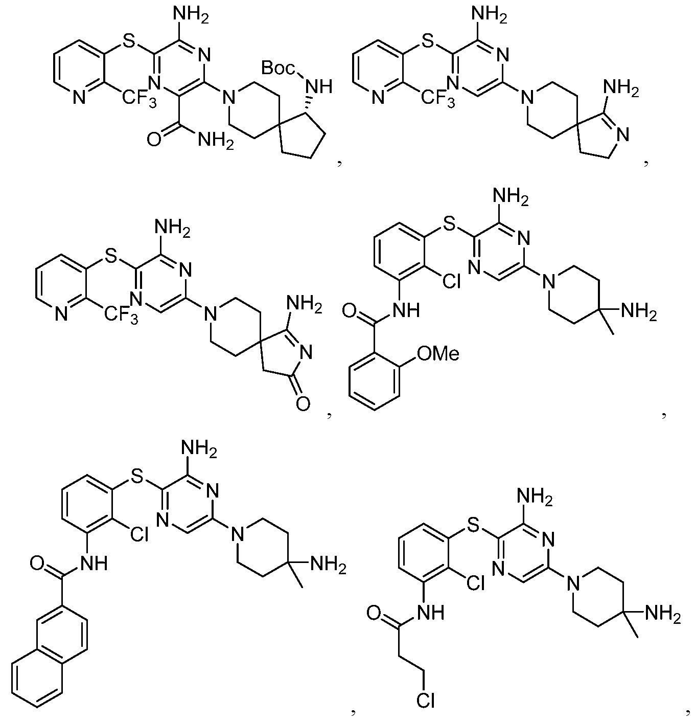 Figure imgf000009_0002