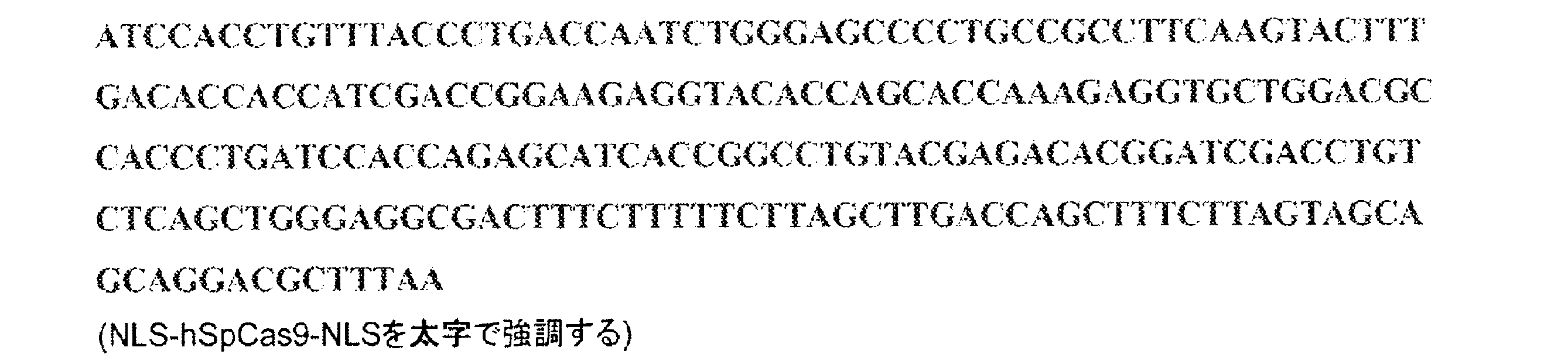 Figure 0007542681000093