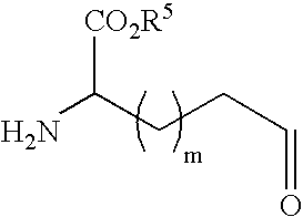Figure US20080207625A1-20080828-C00017