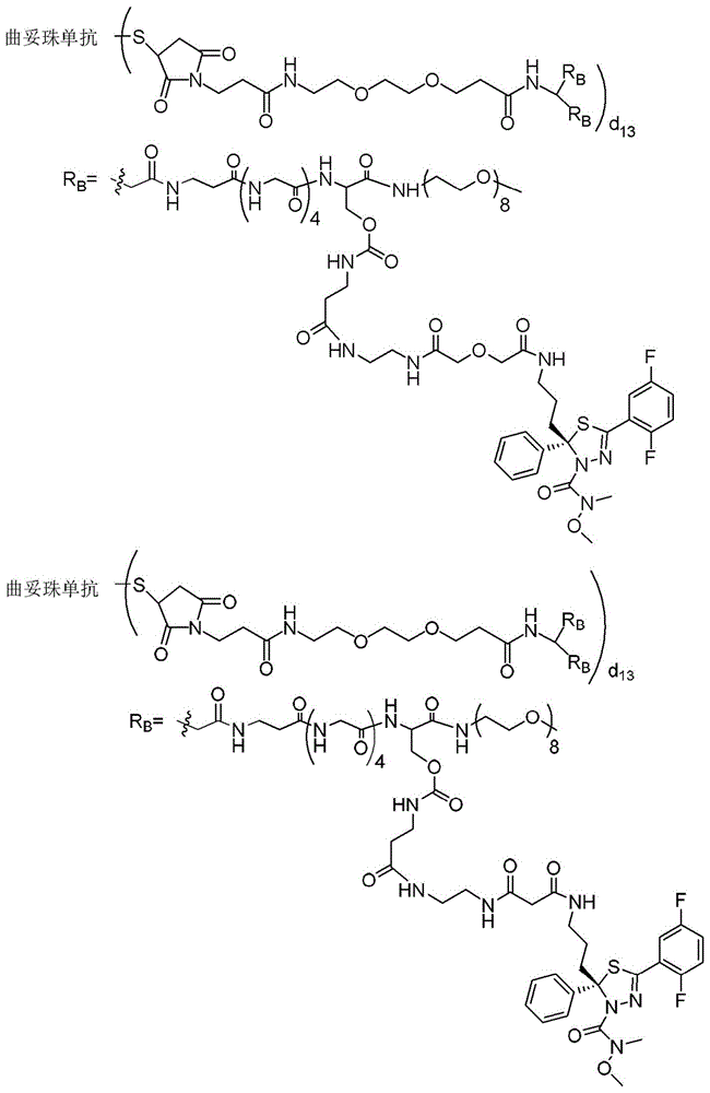 Figure BDA0003135424430001811