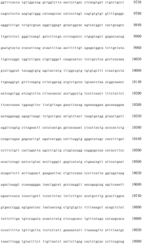 Figure IDA0003936212790000271