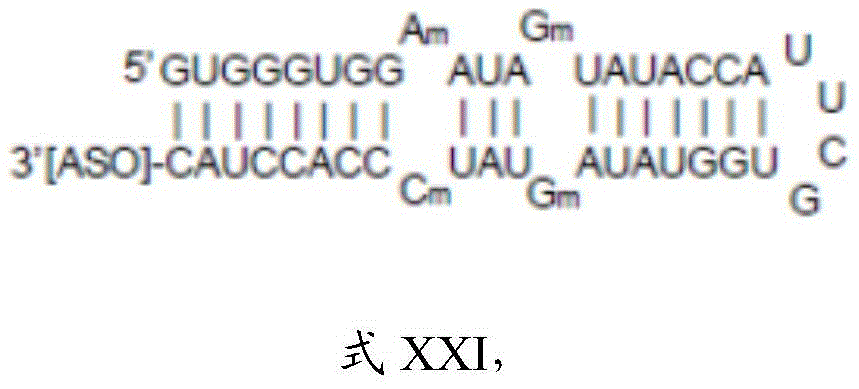 Figure BDA0003264319780000233