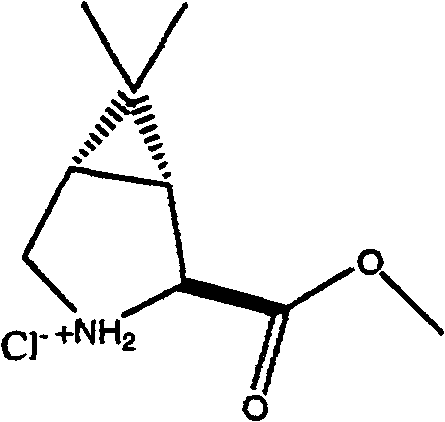 Figure FSB00001007621000033