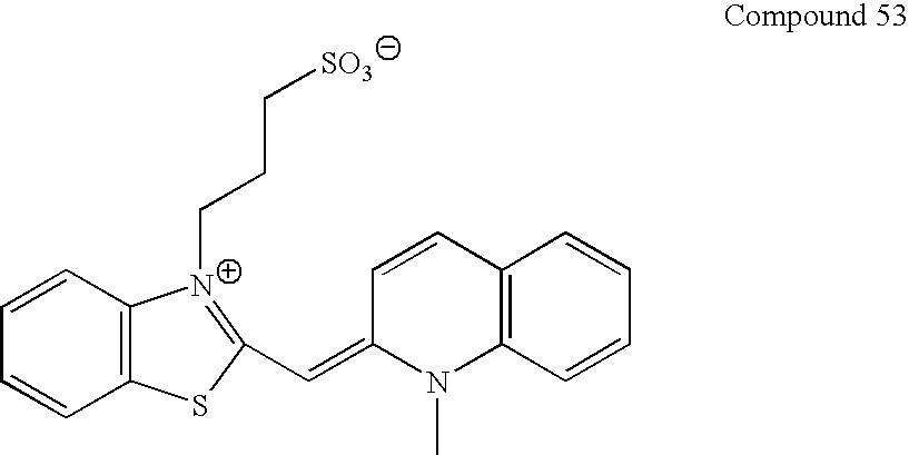 Figure US20090047683A1-20090219-C00077