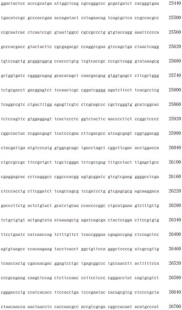 Figure IDA0002872168960001511