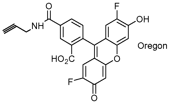 Figure imgf000113_0001