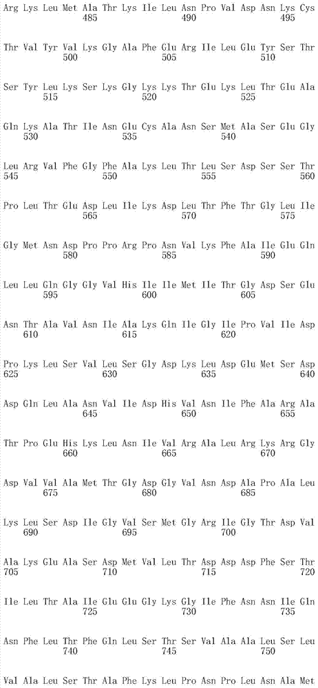 Figure IDA0000399974420000041