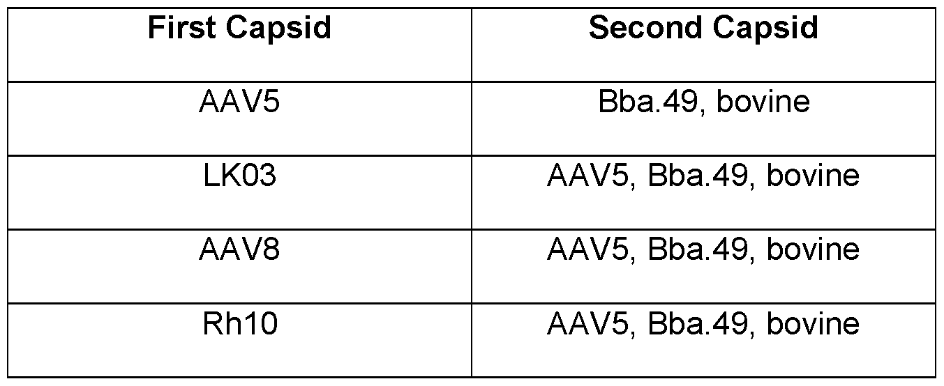 Figure imgf000041_0001