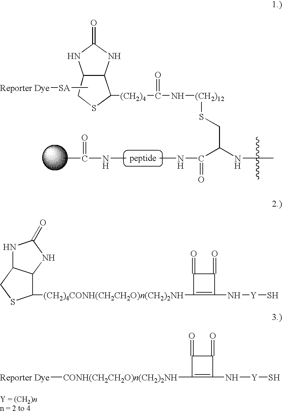 Figure US20080026403A1-20080131-C00002