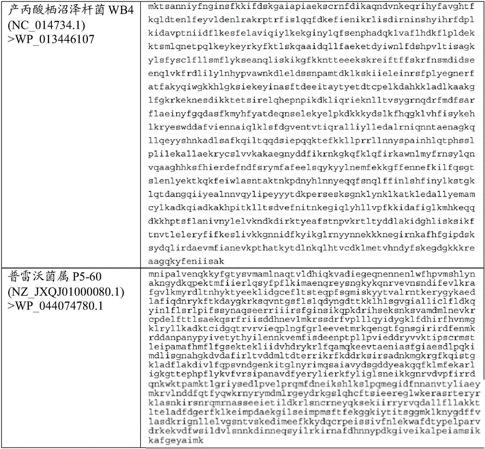 Figure BDA0002313867470003431