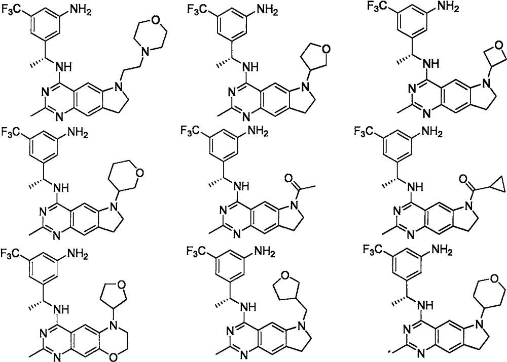 Figure BSA0000267523520000054