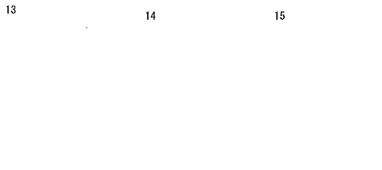 Figure imgf000010_0004