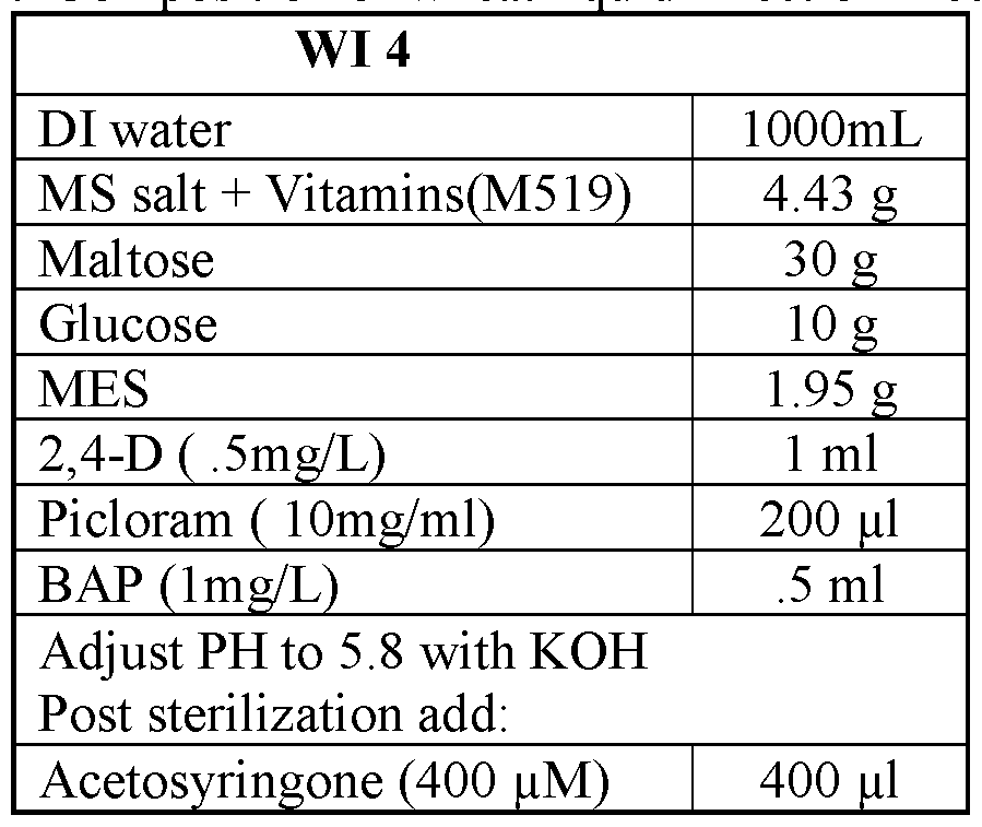 Figure imgf000127_0001