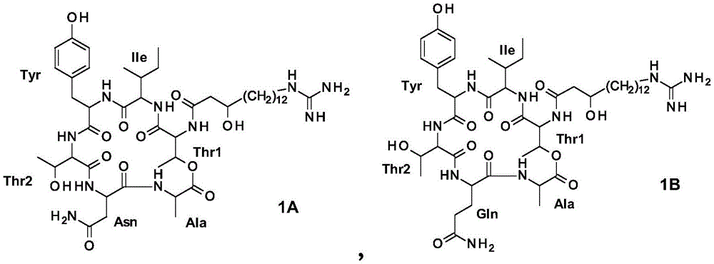 Figure FDA0003691381250000011