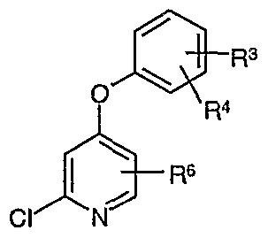 Figure imgf000025_0001