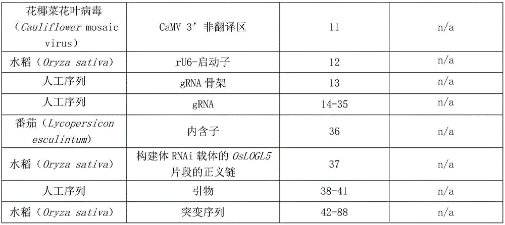 Figure BDA0001836846780000061