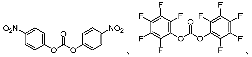 Figure PCTCN2019073148-appb-000112