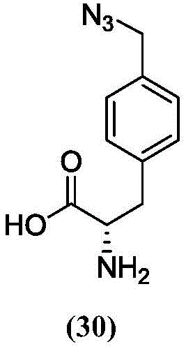 Figure BDA0003508738070000501