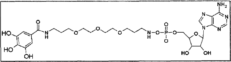 Figure BPA00001350255800172