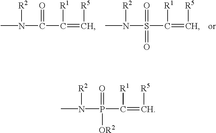 Figure US20030229051A1-20031211-C00010