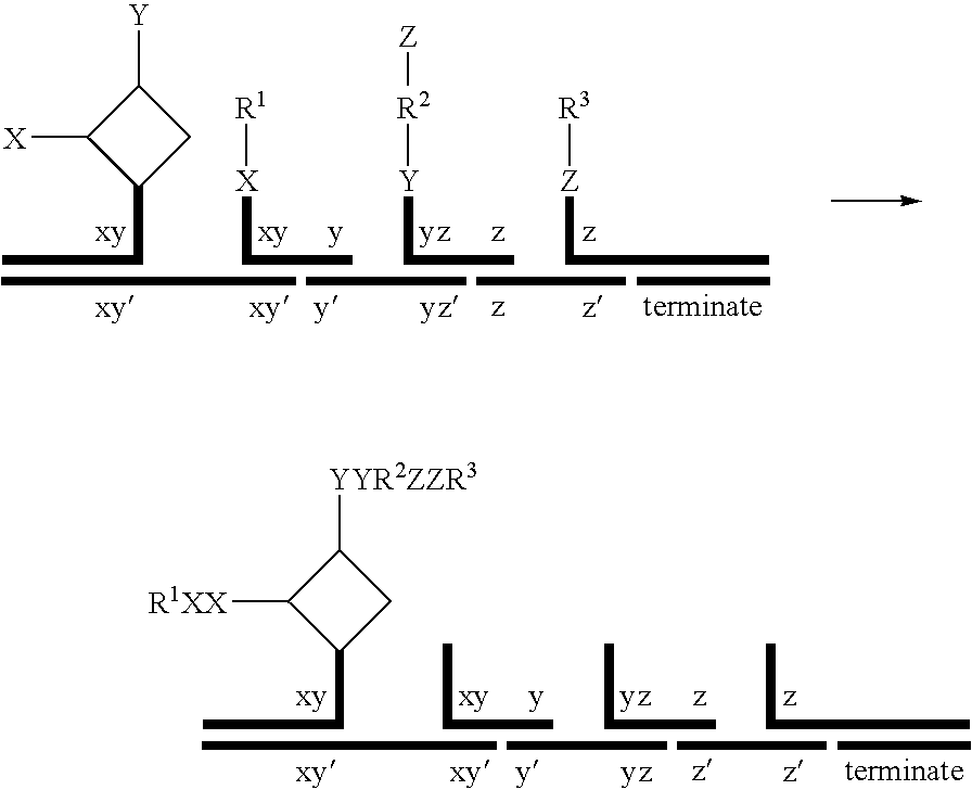 Figure US20080193983A1-20080814-C00007