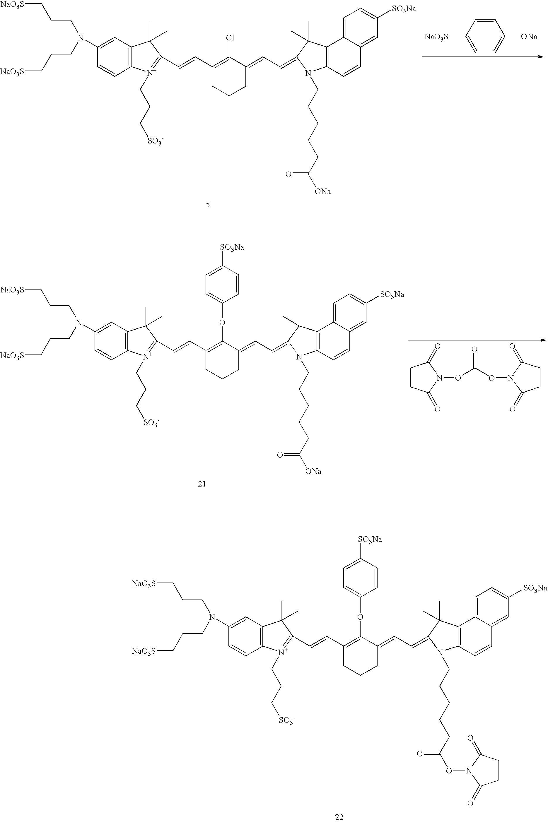 Figure US20070042398A1-20070222-C00034