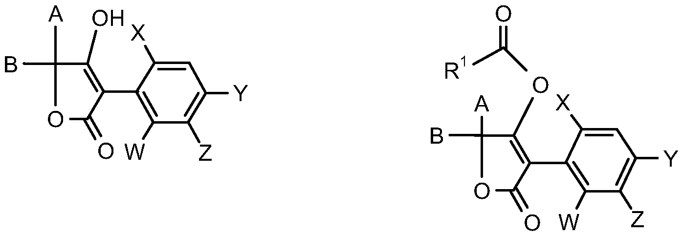 Figure imgf000009_0001