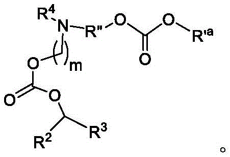 Figure FDA0003652566700000022