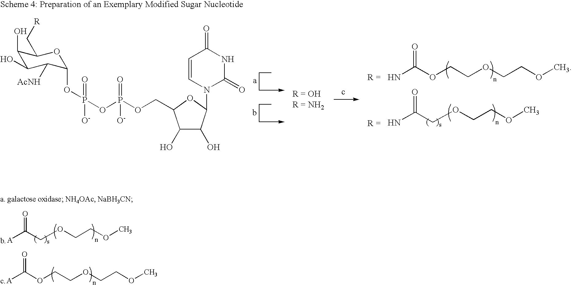 Figure US20080242607A1-20081002-C00037