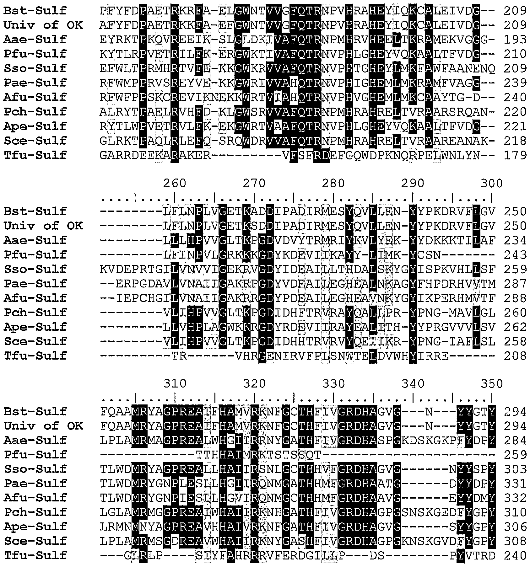 Figure imgf000019_0001