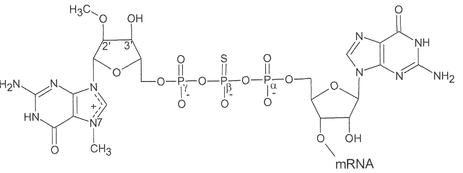 Figure imgf000027_0001