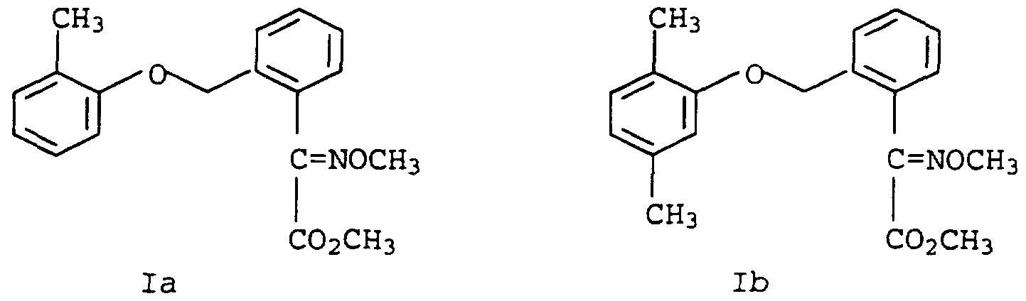 Figure imgf000003_0001