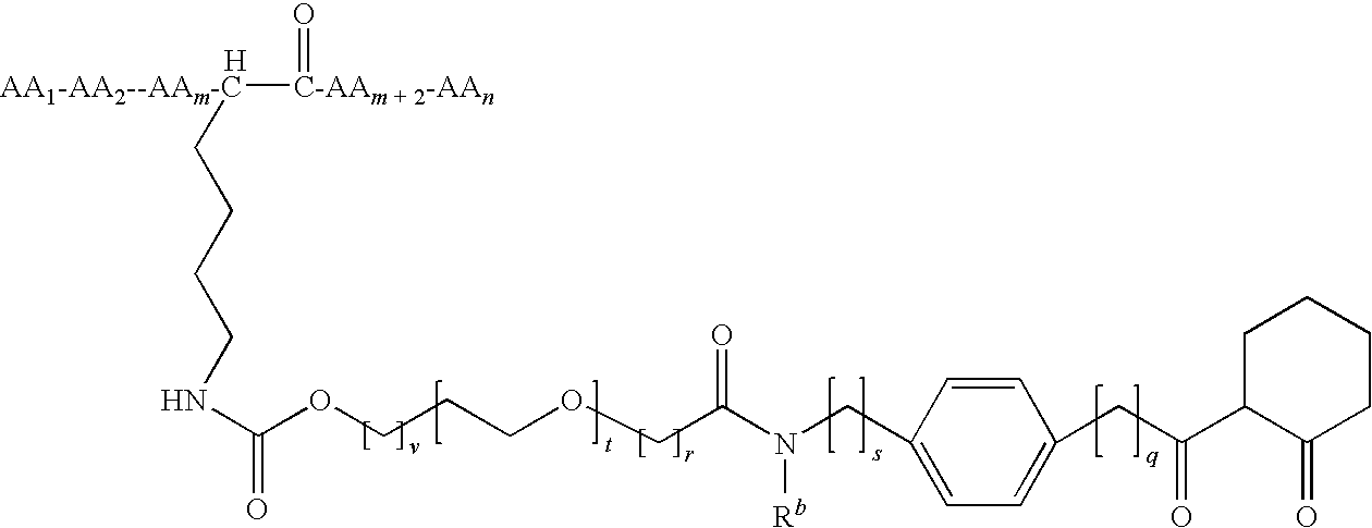 Figure US20090098130A1-20090416-C00147