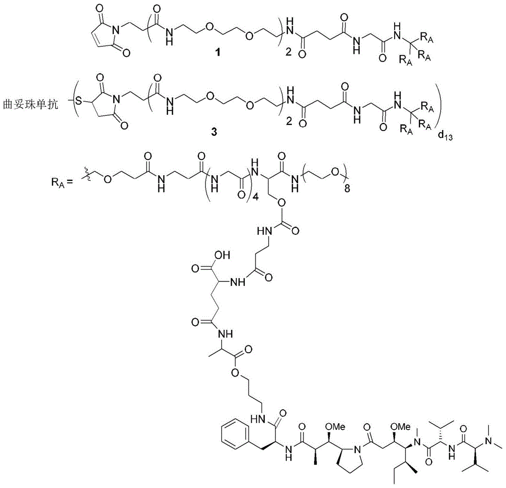 Figure BDA0003135424430002401