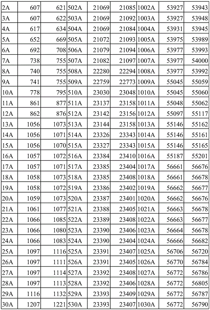 Figure BDA0003936212750000181