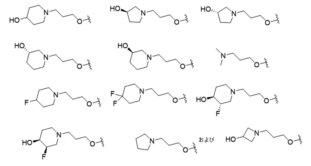 Figure 0007198269000051