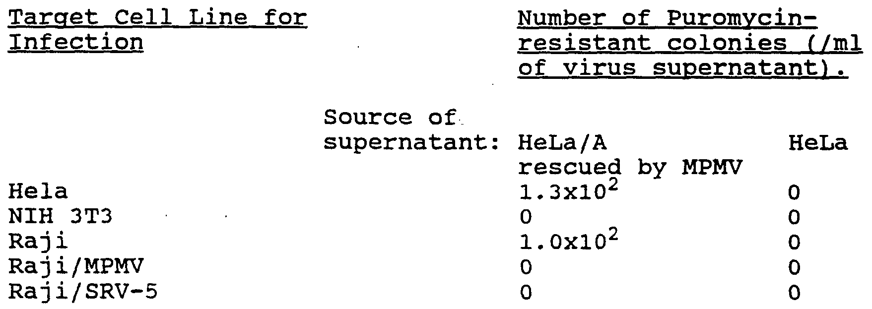 Figure imgf000019_0001