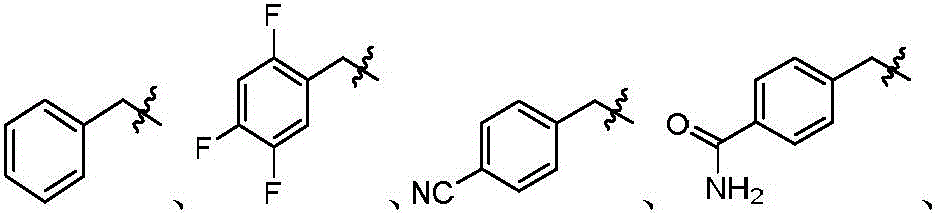 Figure BDA0002921022140000117