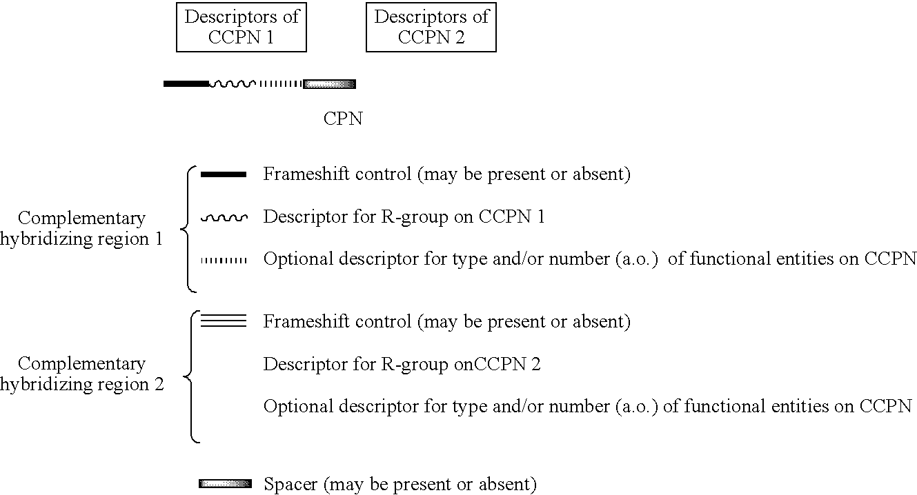 Figure US20080193983A1-20080814-C00004