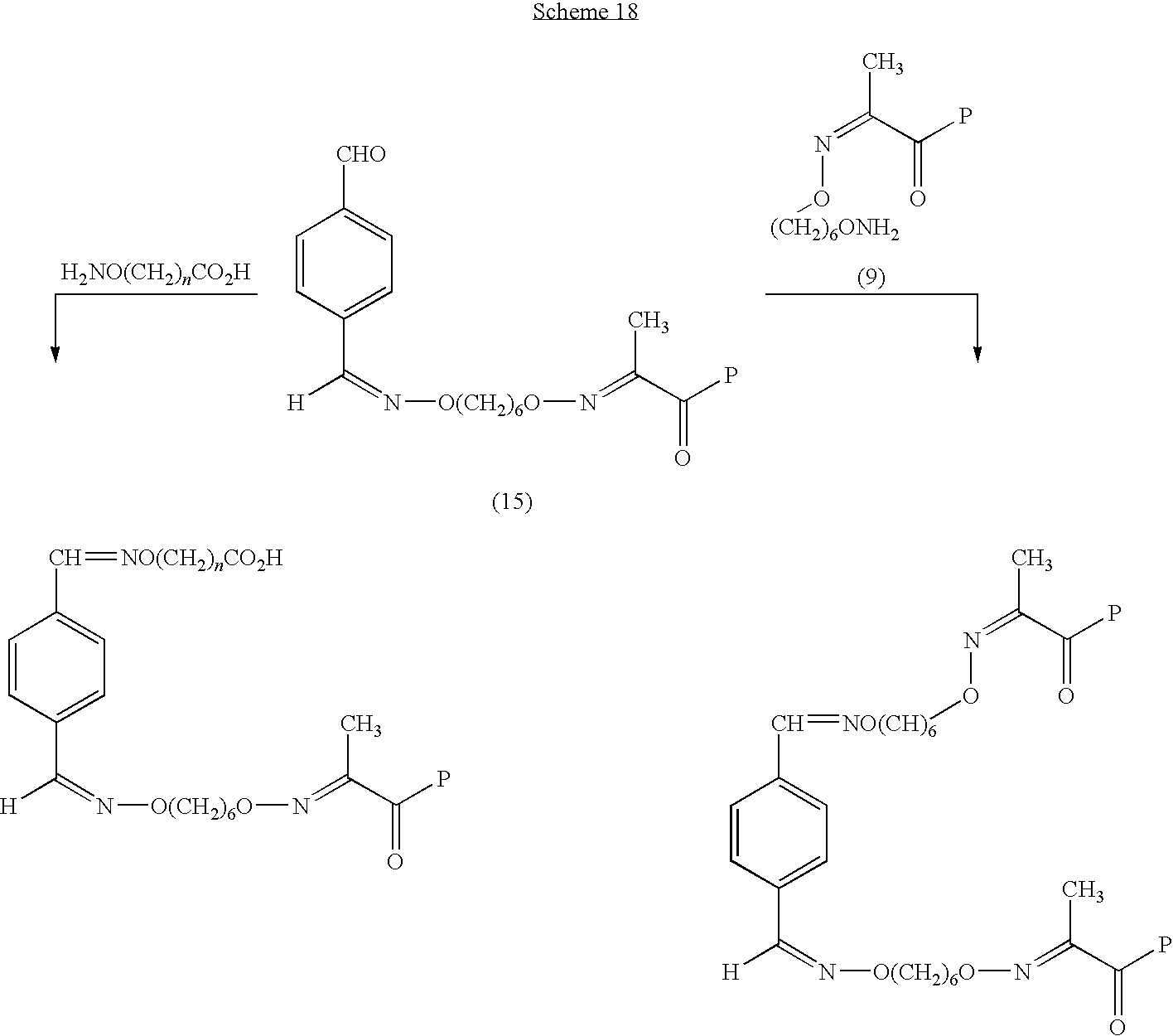Figure US20100099649A1-20100422-C00031