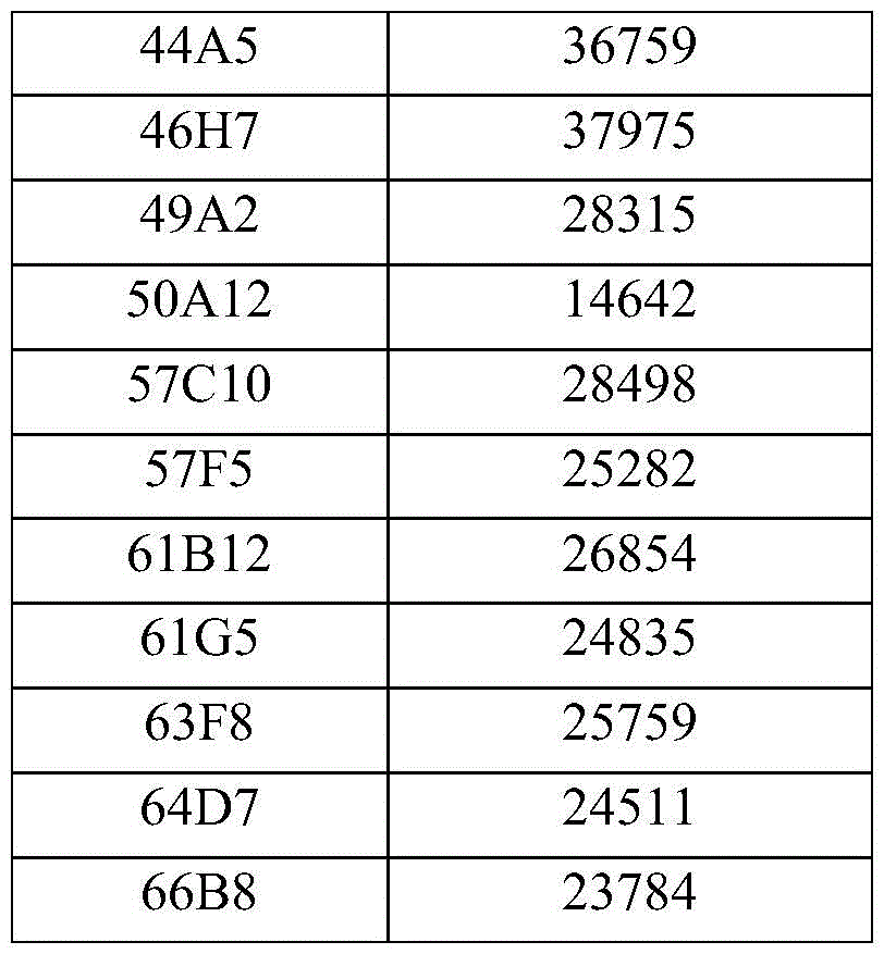 Figure BDA0004090385130001251