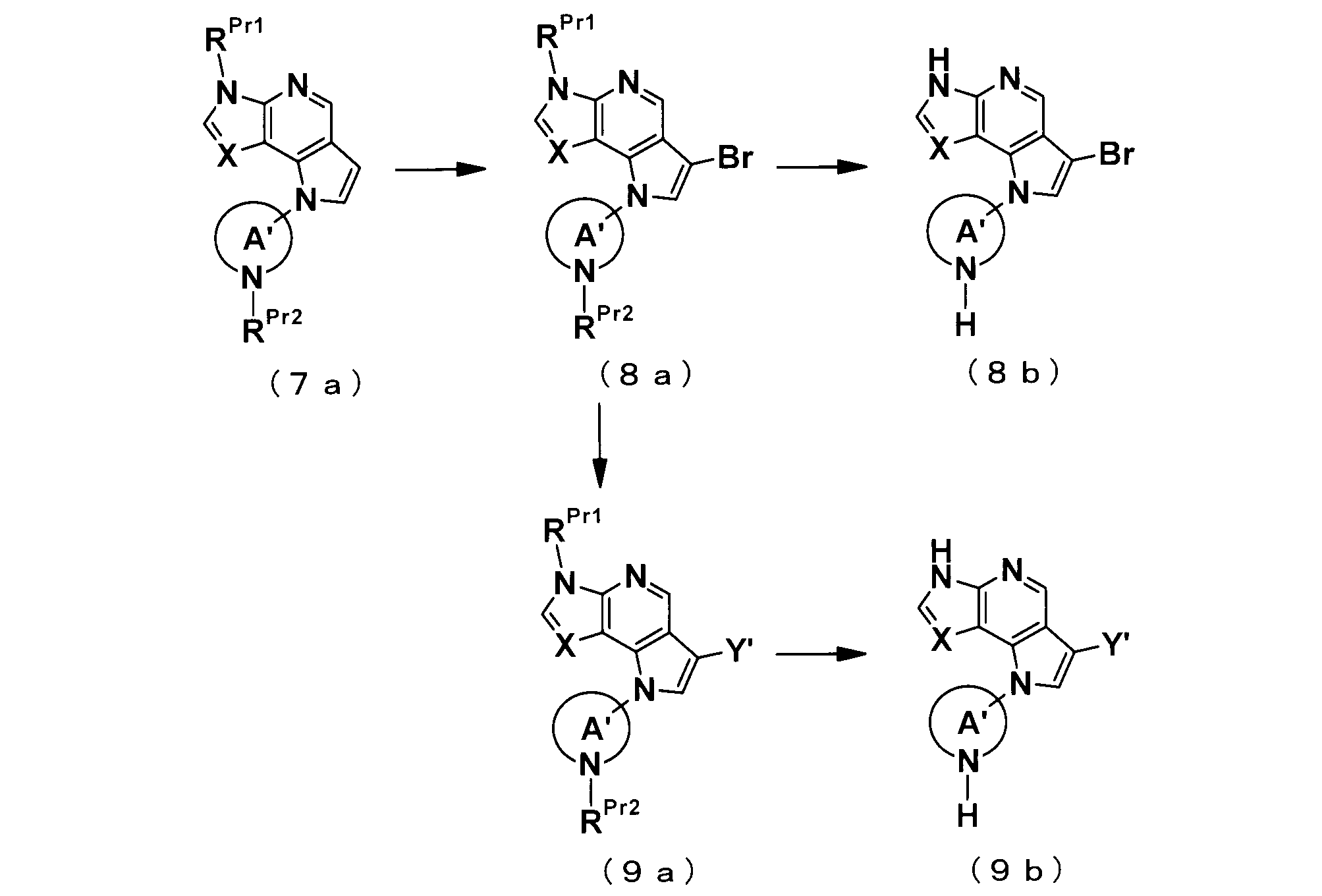 Figure JPOXMLDOC01-appb-C000026