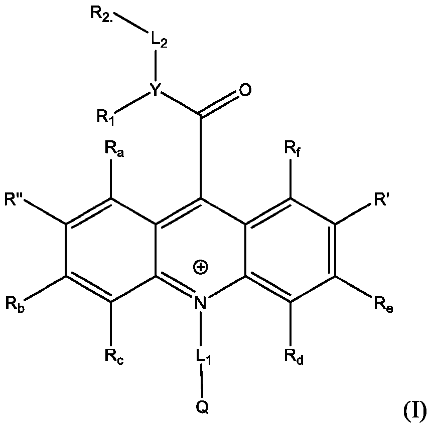 Figure imgf000013_0001