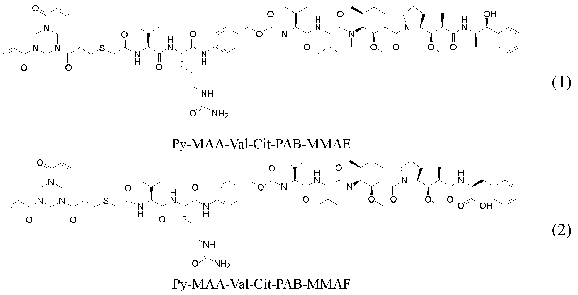 Figure 112022078104020-pct00036