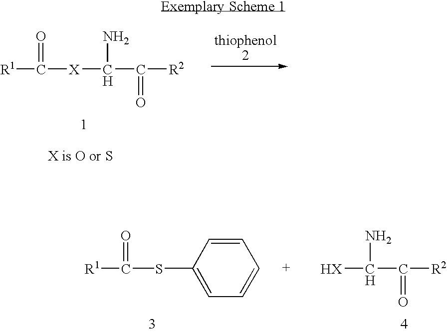 Figure US20060073481A1-20060406-C00001