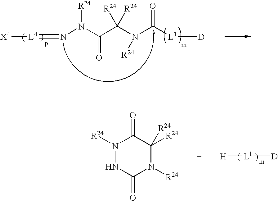 Figure US20080279868A1-20081113-C00041