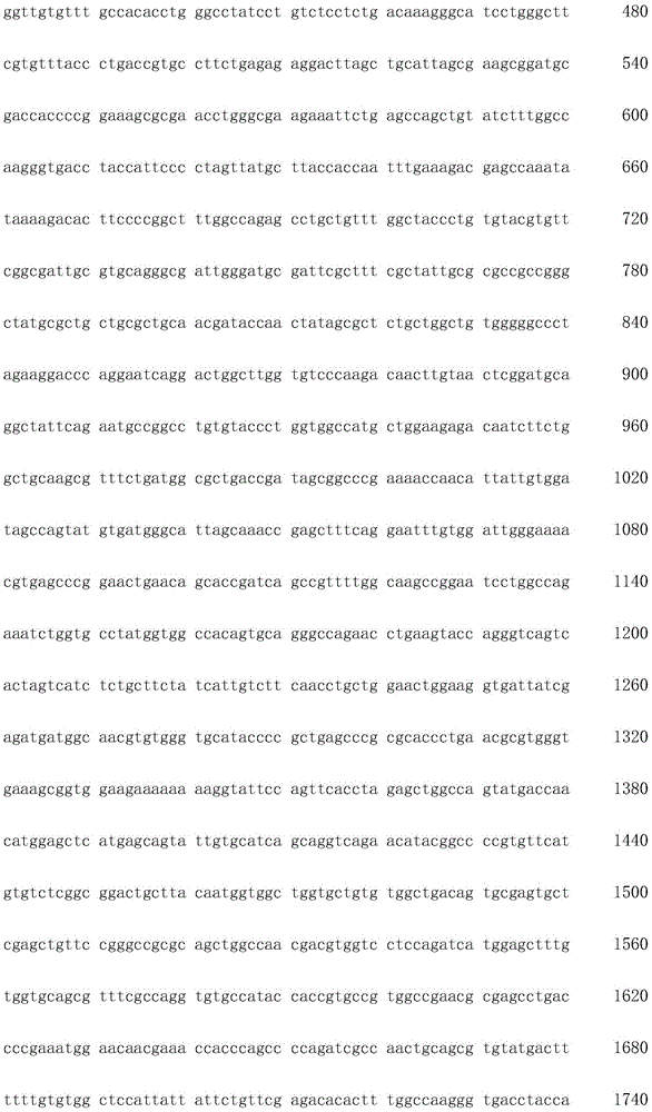 Figure IDA0002872168960002371